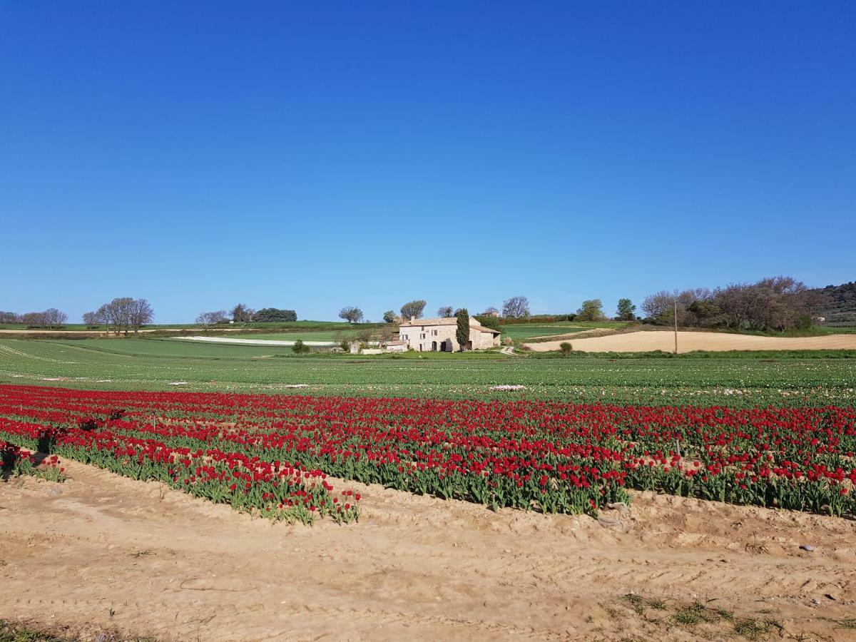 Grange Voutee Avec Jardin Villa Mane  Exteriör bild